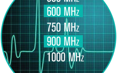 What if an animal rather than a human injures its leg?