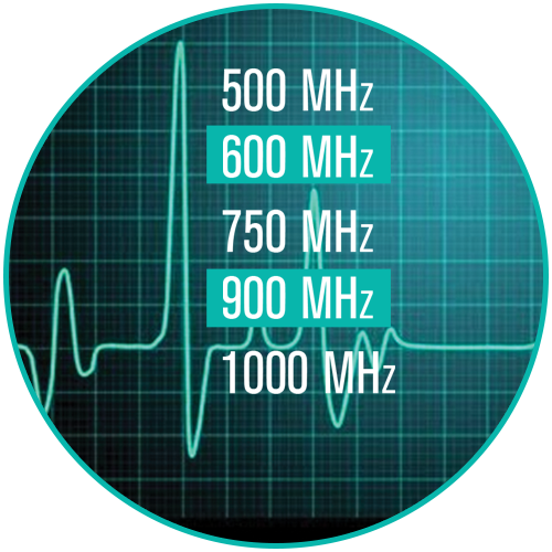 What if an animal rather than a human injures its leg?