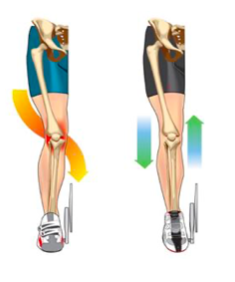 propriocezione tavoletta propriocezione tavoletta